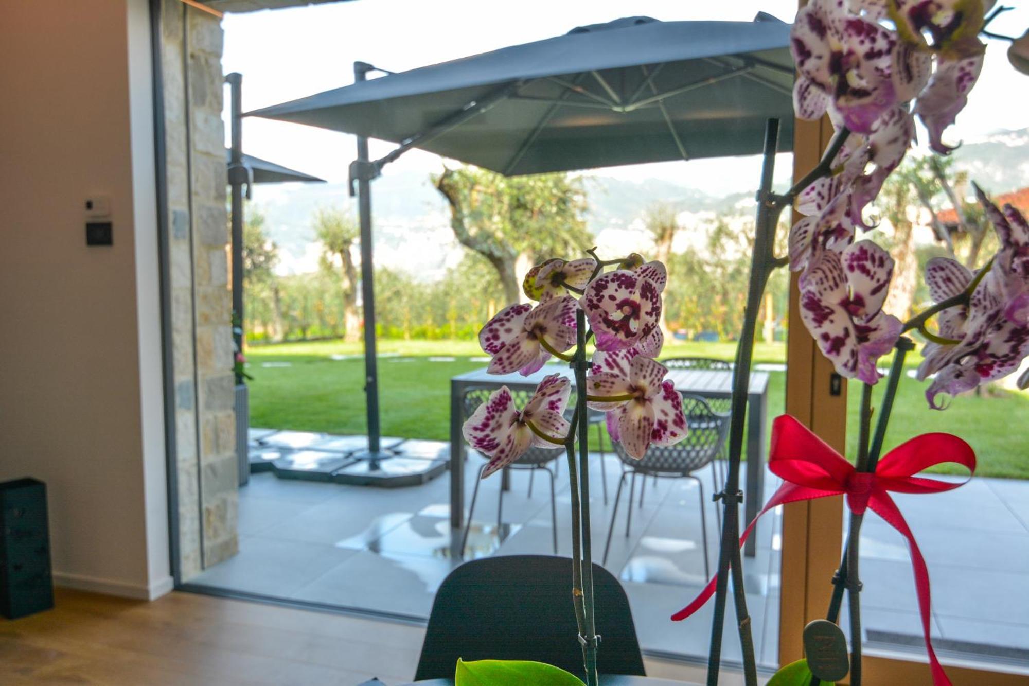 مالتشيزينيه Olivo Luxury Apartments المظهر الخارجي الصورة